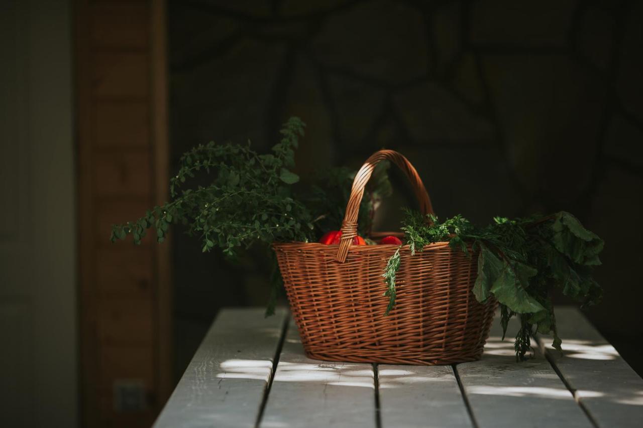 Casa vacanze Pasieka - Bacza