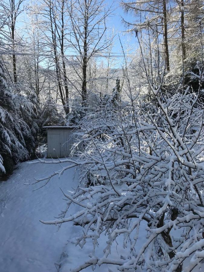 Pasieka - Holiday home Bacza